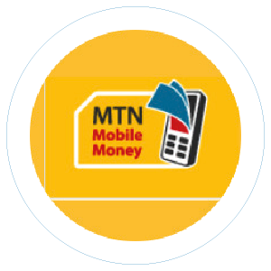 MTN Money